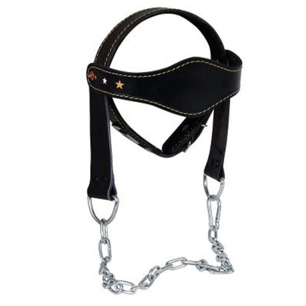 Head Harness Head Harness