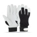 Batting Gloves